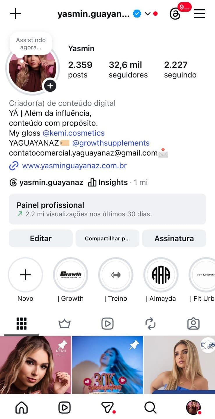 Visão geral do perfil — print real dos insights do Instagram da Yá Guayanaz (Perfil)